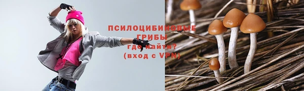 кокаин колумбия Белокуриха